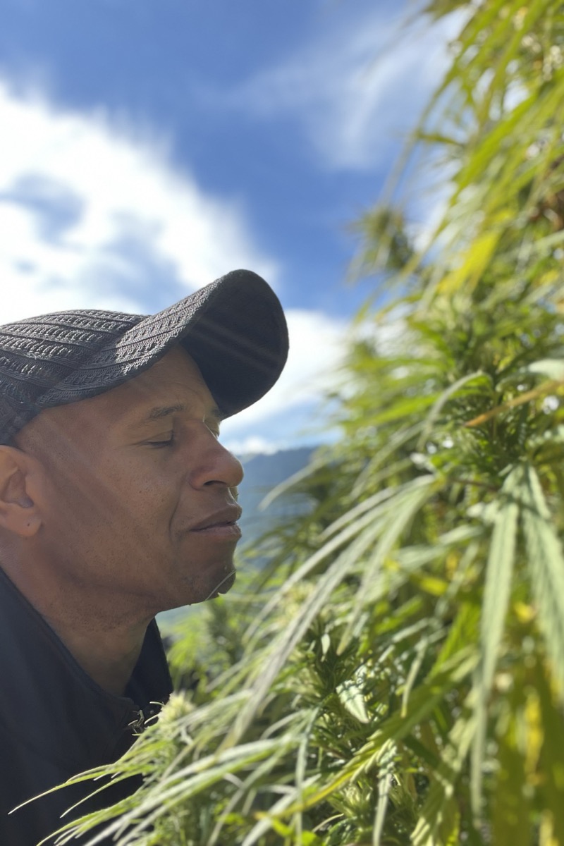 Todd Patterson assessing a cannabis plant by aroma